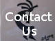 Contact the Artist